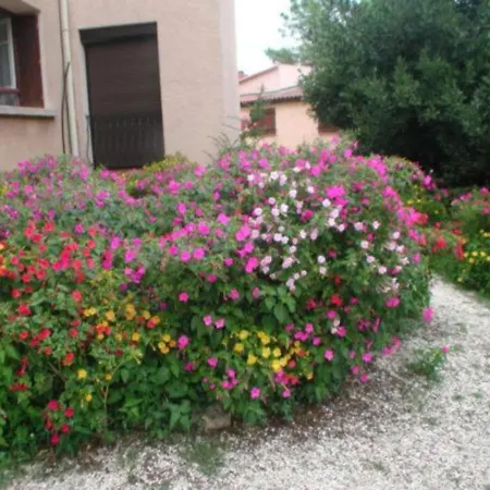 Canigou - Pinede Avec Piscine Apartment
