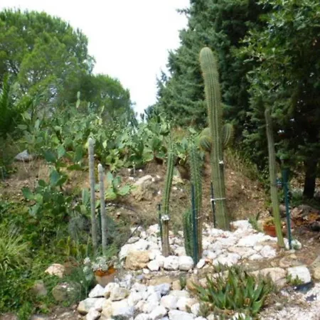 Apartament Canigou - Pinede Avec Piscine Argelès-sur-Mer