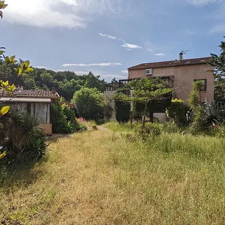 Canigou - Pinede Avec Piscine Argelès-sur-Mer