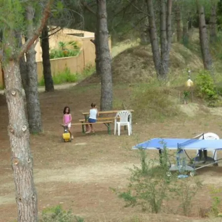 Apartment Canigou - Pinede Avec Piscine