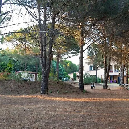 Canigou - Pinede Avec Piscine Apartament Argelès-sur-Mer